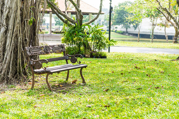 Iron bench in the park