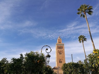 Fototapeta premium Koutubia mosque in marrakesh