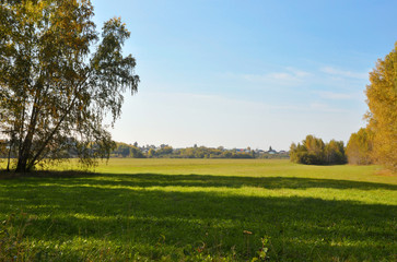 Landscape early autumn. Glade with yellow grass and leaves on the background of autumn birch grove in the distance field and village. West Siberia.