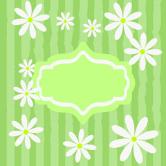 Cute vector template for a card with a grass and daisies on striped background.