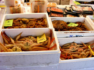 Variety of seafood on Japanese fish market's showcase
