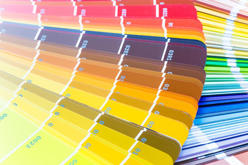 Color wheel for choosing paint tone