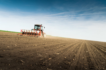 Obraz premium seeding crops at field