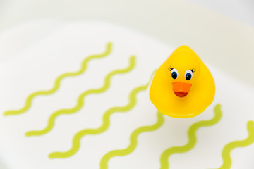 bath time - yellow rubber duck in water