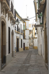 Fototapeta na wymiar Cordoba (Andalucia, Spain): street