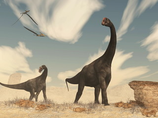 Brontomerus dinosaurs in the desert - 3D render © Elenarts