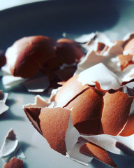 Broken / Cracked Eggshell