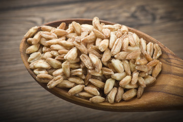 Spoon of Raw Organic Spelt Grain close up on a table