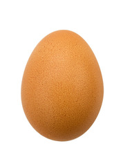 egg in brown shell isolated on white background