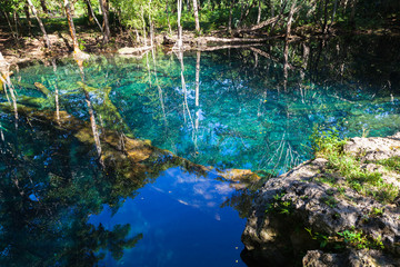 Still lake in tropical forest, natural landscape