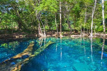 Still lake in dark forest, Dominican Republic