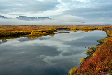 River with the banks in the autumn coloring. Sob River. Polar Urals. Russia.