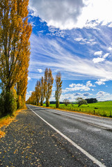 Country road with yellow trees and blue sky in autumn fall landscape