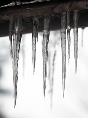 Icicles on the roof of the house