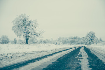winter rural road with frozen tree at roadside