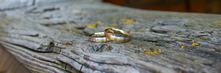 Two Wedding Rings