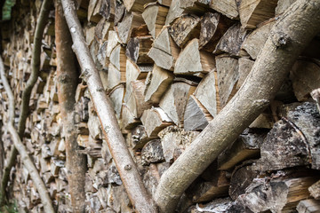 Płot szczapy © rpetryk