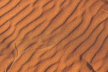 Namib Desert Dunes