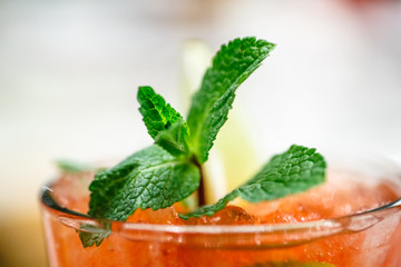 A sprig of mint close-up on red cocktail.