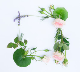 Garden fresh flowers and leaves frame on white background
