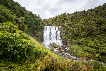 Fototapeta premium Marokopa Falls, New Zealand