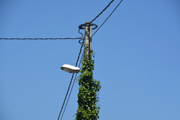 farola de alumbrado público
