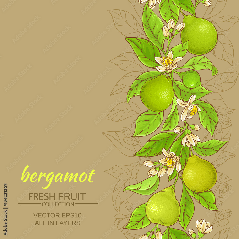 Sticker bergamot vector background