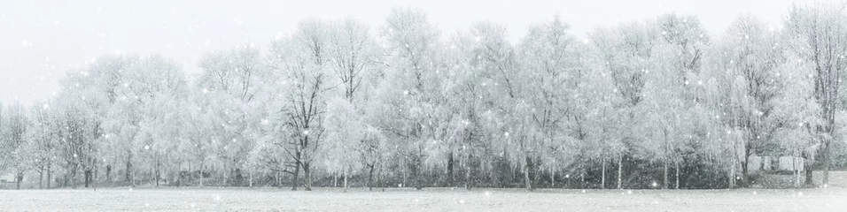 Vlies Fototapete Winter Panoramabild der Winterlandschaft