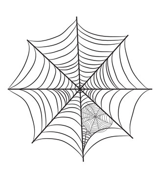 Cobweb illustration isolated on white