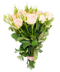 Bouquet of pink blooming fresh roses with buds isolated on white background