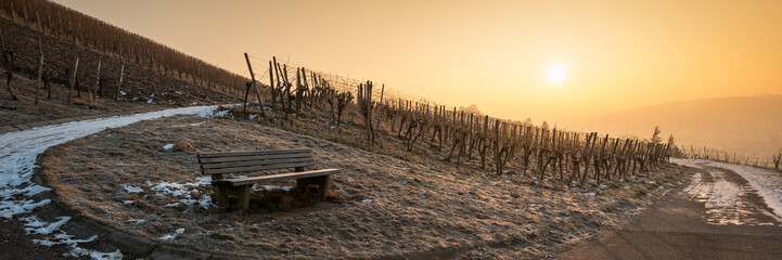 Sitzbank im Weinberg im Winter im Gegenlicht