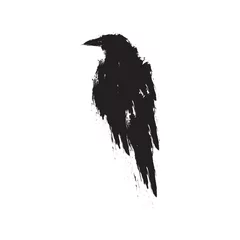  Black raven on a white background. Vector illustration. © deshoff