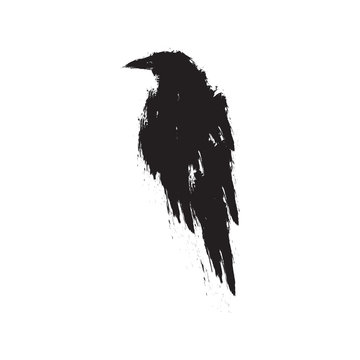 Black raven on a white background. Vector illustration.