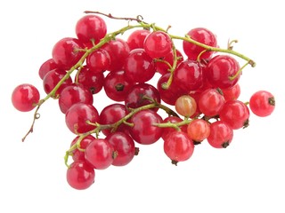 clusters of currants berries