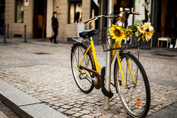 Fototapeta na wymiar Bicicletta con fiori