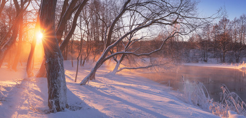 Morning winter scene