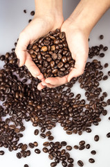 Close Up of Roasted Coffee Beans and Female Hand Full of seeds