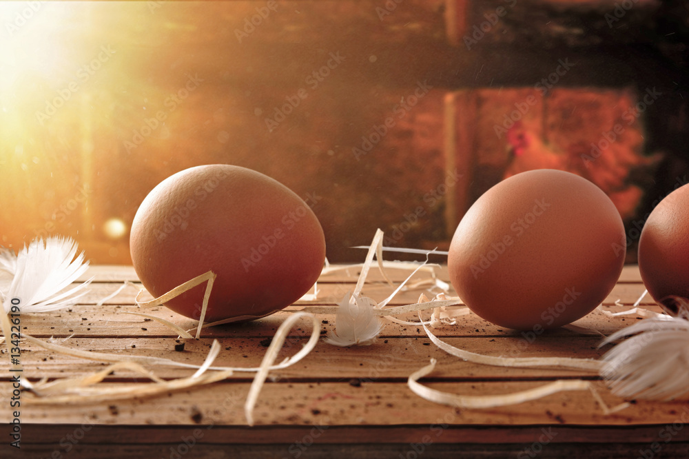 Wall mural freshly picked eggs on table with chicken within henhouse backgr