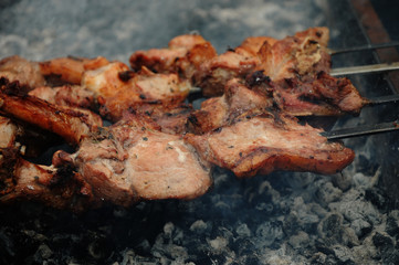 Shish kebab (shashlik)