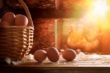 Zelfklevend Fotobehang Freshly picked eggs in basket with chicken within henhouse backg © Davizro Photography