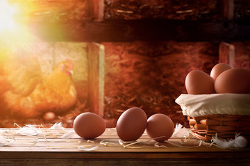 Freshly picked eggs in basket within a henhouse background