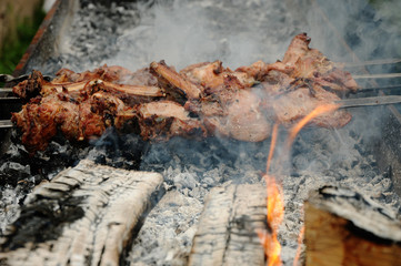 Shish kebab (shashlik)