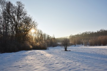 Winter landscape - frosty trees. Nature with snow. Beautiful seasonal natural background.