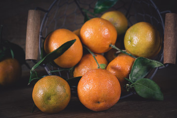 Mandarinen / Clementinen
