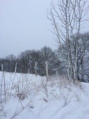 Weidezaun in Naturlandschaft im Winter im Schnee