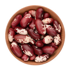 haricot bean on a white background