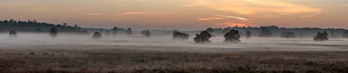Foggy sunset
