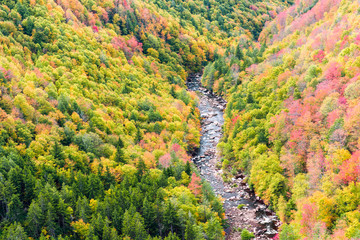 Blackwater river with Allegheny mountains in autumn