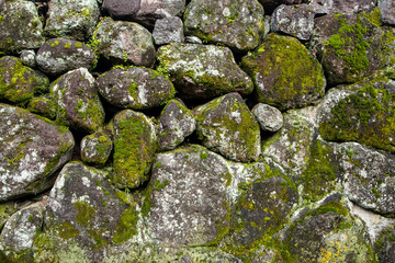moss covered stone wall texture