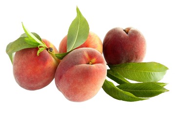 tasty,sweet,peaches